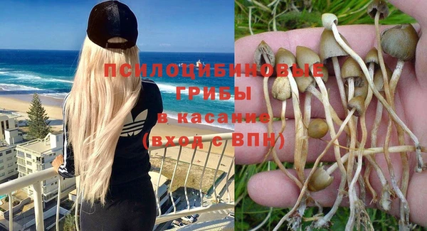 эйфоретик Белоозёрский