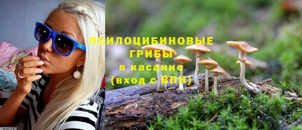 а пвп мука Белокуриха