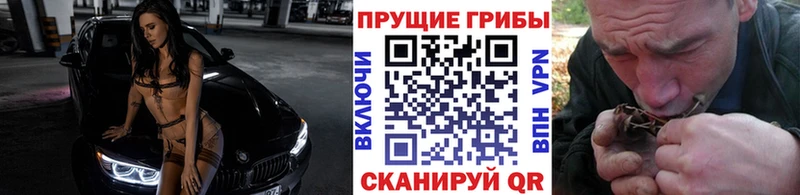 Псилоцибиновые грибы прущие грибы  Волгореченск 